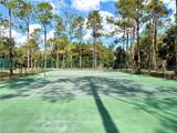  Bonsmara Drive - Photo 11