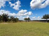  Bonsmara Drive - Photo 16