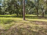  Bonsmara Drive - Photo 3
