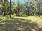  Bonsmara Drive - Photo 4