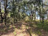  Bonsmara Drive - Photo 5