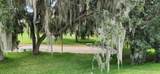 3316 Fish Hawk Dr - Photo 4