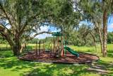 24353 Calusa Boulevard - Photo 28