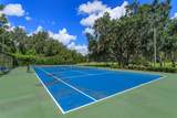 24353 Calusa Boulevard - Photo 29