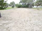 209 Badger Avenue - Photo 6