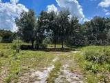  Laurel Oak Avenue - Photo 1