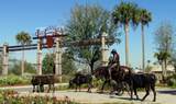 2007 Yearling Way - Photo 39