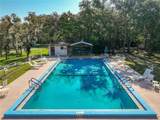 1925 Brookside Drive - Photo 53