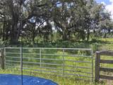 409 County Road 542E - Photo 3