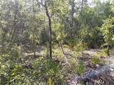  Wheystone Drive - Photo 10