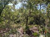  Wheystone Drive - Photo 11