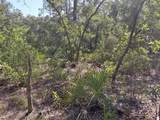  Wheystone Drive - Photo 12
