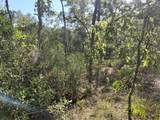  Wheystone Drive - Photo 13