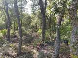  Wheystone Drive - Photo 14