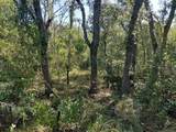  Wheystone Drive - Photo 15