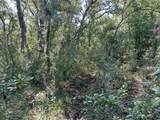  Wheystone Drive - Photo 16