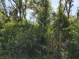 Wheystone Drive - Photo 4