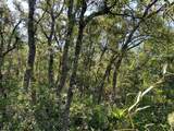  Wheystone Drive - Photo 5