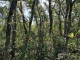  Wheystone Drive - Photo 6