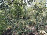  Wheystone Drive - Photo 7