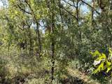  Wheystone Drive - Photo 8