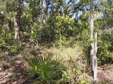  Wheystone Drive - Photo 9