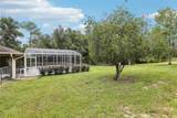 30733 Buttercup Lane - Photo 39