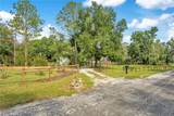 41832 Carrie Lane - Photo 3