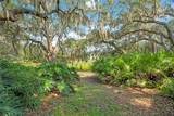 41832 Carrie Lane - Photo 52