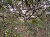  Dogwood Way - Photo 6