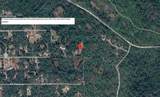 24939 Old Deer Road - Photo 48