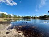 39627 Greenbrier Street - Photo 37