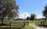 39627 Greenbrier Street - Photo 39