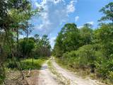 39627 Greenbrier Street - Photo 45