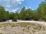 39627 Greenbrier Street - Photo 46