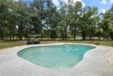 7402 Knights Griffin Road - Photo 26