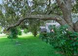 2311 Bonnie View Court - Photo 41