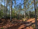 510 Hidden Palms Drive - Photo 4