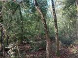  Butternut Drive - Photo 10