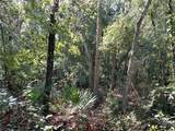  Butternut Drive - Photo 11