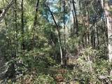  Butternut Drive - Photo 12