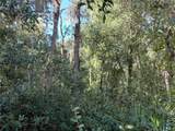  Butternut Drive - Photo 13