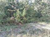  Butternut Drive - Photo 14