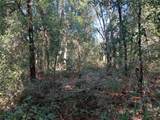  Butternut Drive - Photo 2