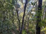  Butternut Drive - Photo 3