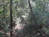  Butternut Drive - Photo 6
