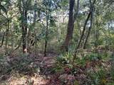  Butternut Drive - Photo 7