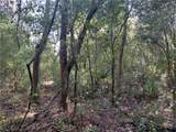  Butternut Drive - Photo 8
