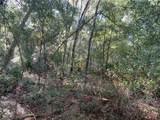 Butternut Drive - Photo 9