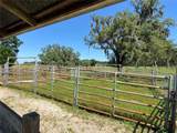 3270 County Road 337 - Photo 20